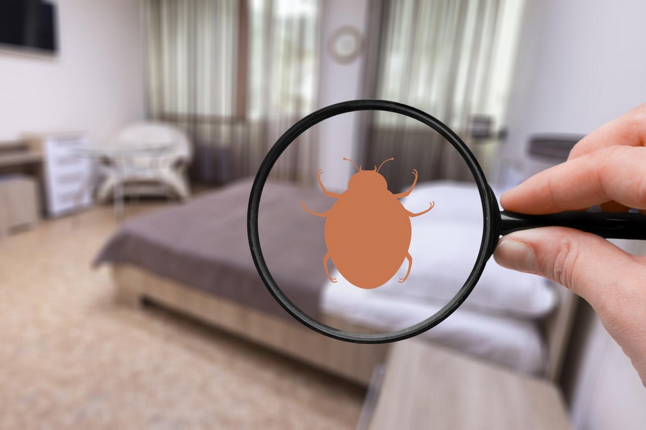 You are currently viewing Protéger votre logement contre les punaises de lit